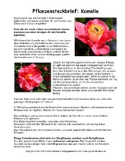 Steckbrief-Kamelie.pdf